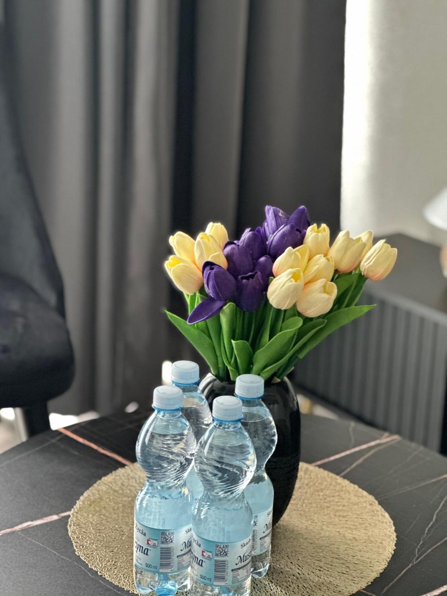 Apartamento Sunny Haven Wave Sea View Miedzyzdroje Exterior foto